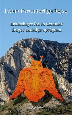 Livets Forunderlige Rejse (eBook, ePUB)