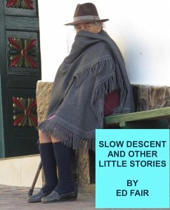 Slow Descent and Other Little Stories (eBook, ePUB) - Fair, Ed