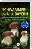 Schwammerlsuche in Bayern