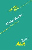 Großer Bruder (eBook, ePUB)