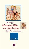 Moscheen, Wein und böse Geister (eBook, PDF)