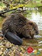 Discover the Beavers - Bild 1