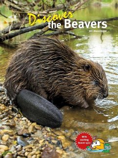 Discover the Beavers - Messlinger, Uli