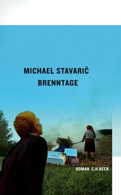 Brenntage (eBook, PDF) - Stavaric, Michael