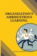 Organization's ambidextrous learning - Bild 1