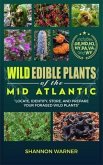 Wild Edible Plants of the Mid-Atlantic (eBook, ePUB)