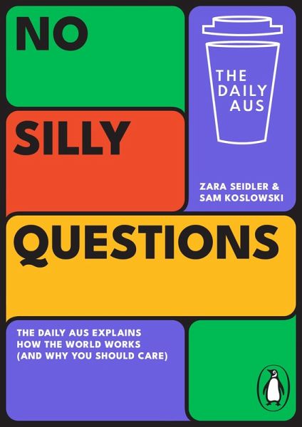 No Silly Questions (eBook, ePUB)