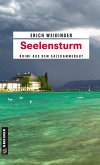 Seelensturm (eBook, ePUB)