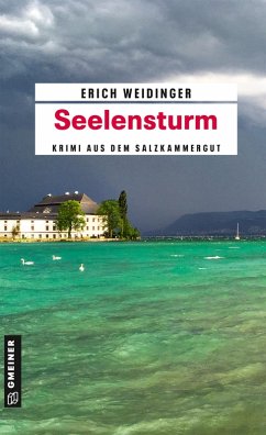 Seelensturm (eBook, ePUB) - Weidinger, Erich