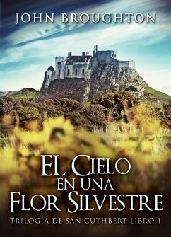 EL Cielo en una Flor Silvestre (eBook, ePUB) - Broughton, John