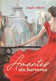 Amantes sin barreras (eBook, PDF)