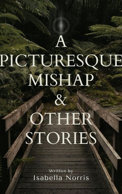 Cover A Picturesque Mishap & Other Stories (eBook, ePUB)