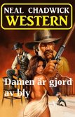 Damen är gjord av bly: Western (eBook, ePUB)