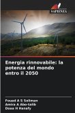 Energia rinnovabile: la potenza del mondo entro il 2050