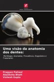 Uma visão da anatomia dos dentes: