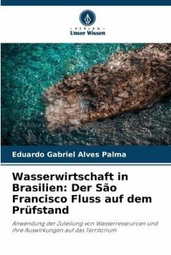 Wasserwirtschaft in Brasilien: Der São Francisco Fluss auf dem Prüfstand - Alves Palma, Eduardo Gabriel