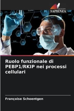 Ruolo funzionale di PEBP1/RKIP nei processi cellulari - Schoentgen, Françoise