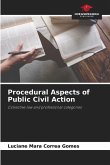 Procedural Aspects of Public Civil Action