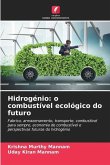 Hidrogénio: o combustível ecológico do futuro