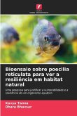 Bioensaio sobre poecilia reticulata para ver a resiliência em habitat natural