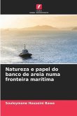 Natureza e papel do banco de areia numa fronteira marítima