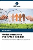 Undokumentierte Migranten in Indien