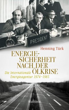 Energiesicherheit nach der Ölkrise - Türk, Henning
