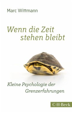 Wenn die Zeit stehen bleibt (eBook, PDF) - Wittmann, Marc