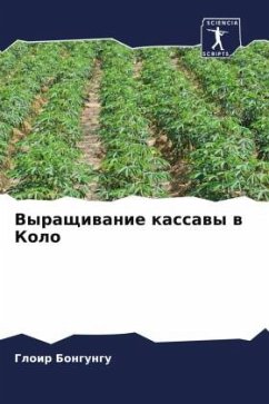 Cover Vyraschiwanie kassawy w Kolo