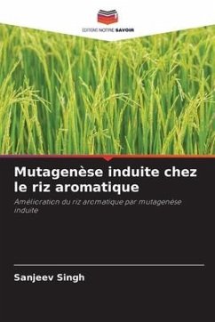 Mutagenèse induite chez le riz aromatique - Singh, Sanjeev