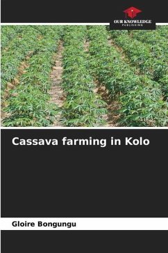 Cassava farming in Kolo - Bongungu, Gloire