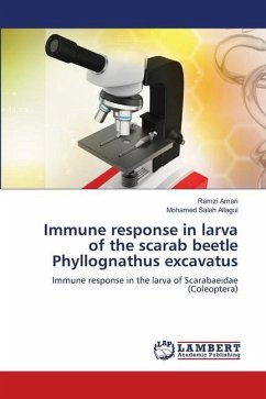 Immune response in larva of the scarab beetle Phyllognathus excavatus