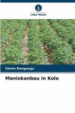 Maniokanbau in Kolo