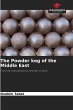 The Powder keg of the Middle East - Bild 1