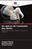 Un aperçu de l'anatomie des dents: