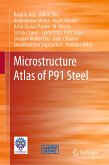 Microstructure Atlas of P91 Steel (eBook, PDF)