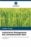 Induzierte Mutagenese bei aromatischem Reis