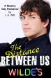 The Distance Between Us (Wilde's, #2)... - Bild 1