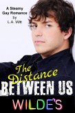 The Distance Between Us (Wilde's, #2) (eBook, ePUB)
