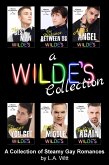 A Wilde's Collection (eBook, ePUB)