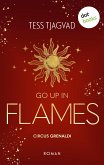 Go up in Flames (eBook, ePUB)