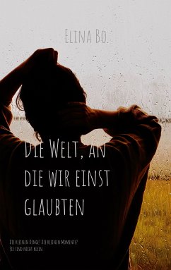 Die Welt, an die wir einst glaubten (eBook, ePUB)