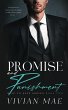 Promise and Punishment (Mine to Keep, 2) - Bild 1