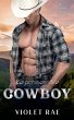 The Possessive Cowboy - Bild 1