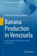 Banana Production in Venezuela - Bild 1