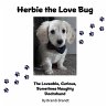 Herbie the Love Bug - Bild 1