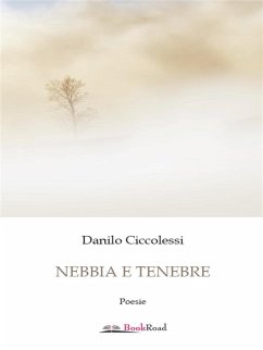 Nebbia e tenebre (eBook, ePUB) - Ciccolessi, Danilo
