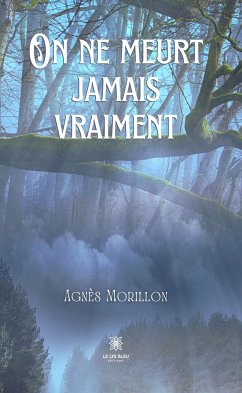 On ne meurt jamais vraiment (eBook, ePUB) - Morillon, Agnès