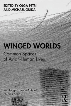 Winged Worlds (eBook, PDF)