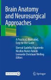 Brain Anatomy and Neurosurgical Approaches (eBook, PDF)